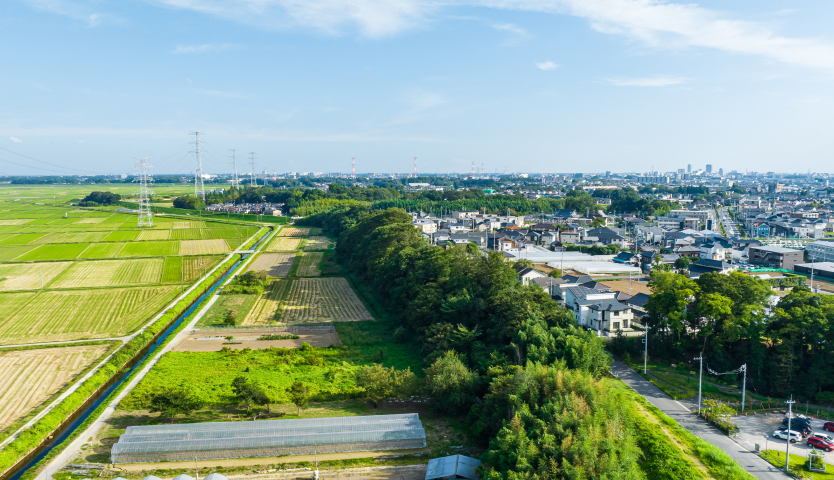 土地利用計画の検討